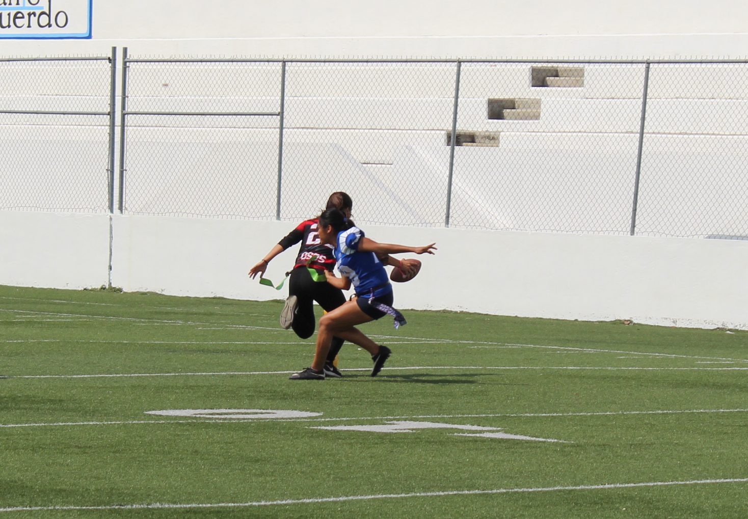 Osas & Borregas (Cat. Juvenil) 2018