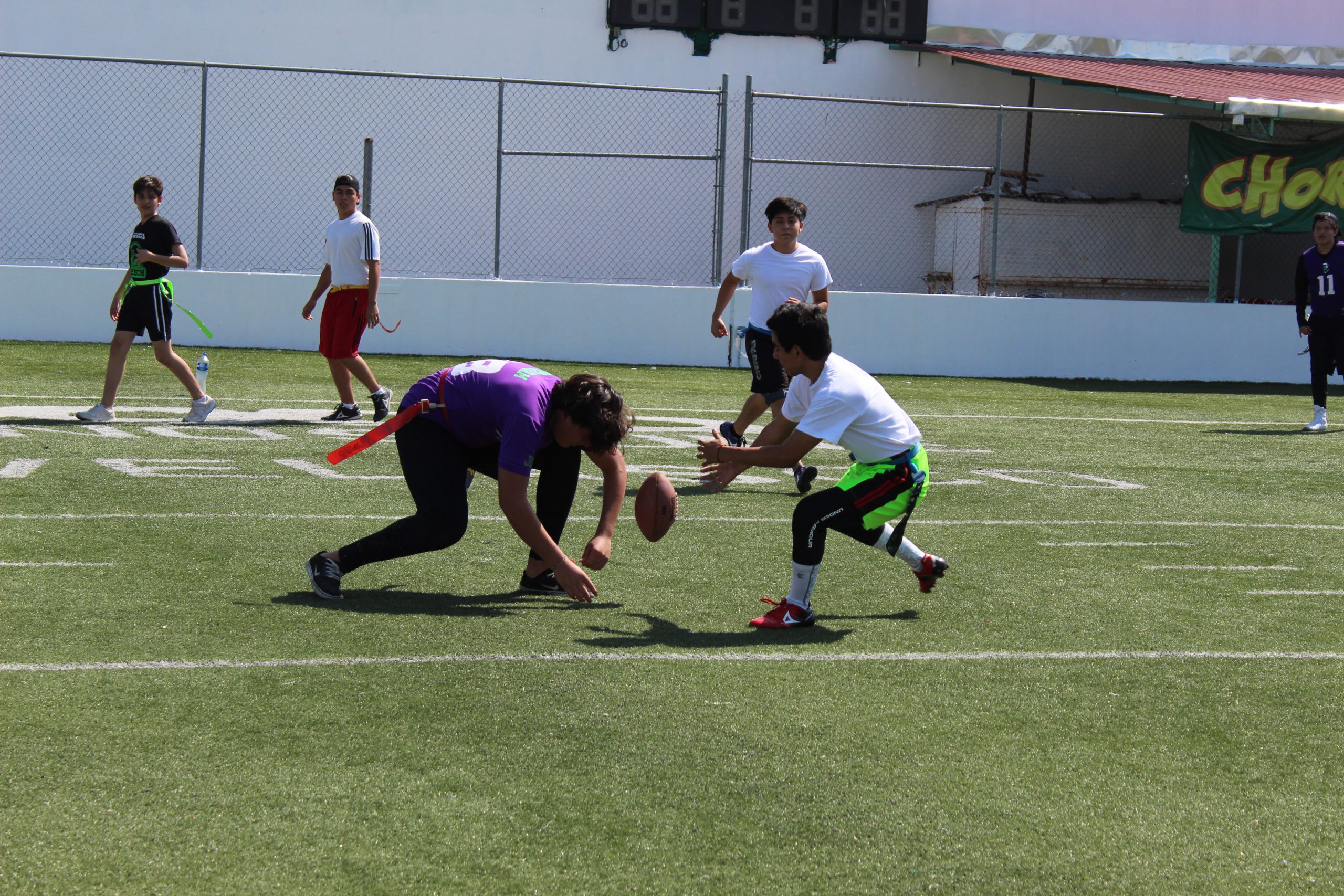 Aguilas Reales & Jaguares Negros