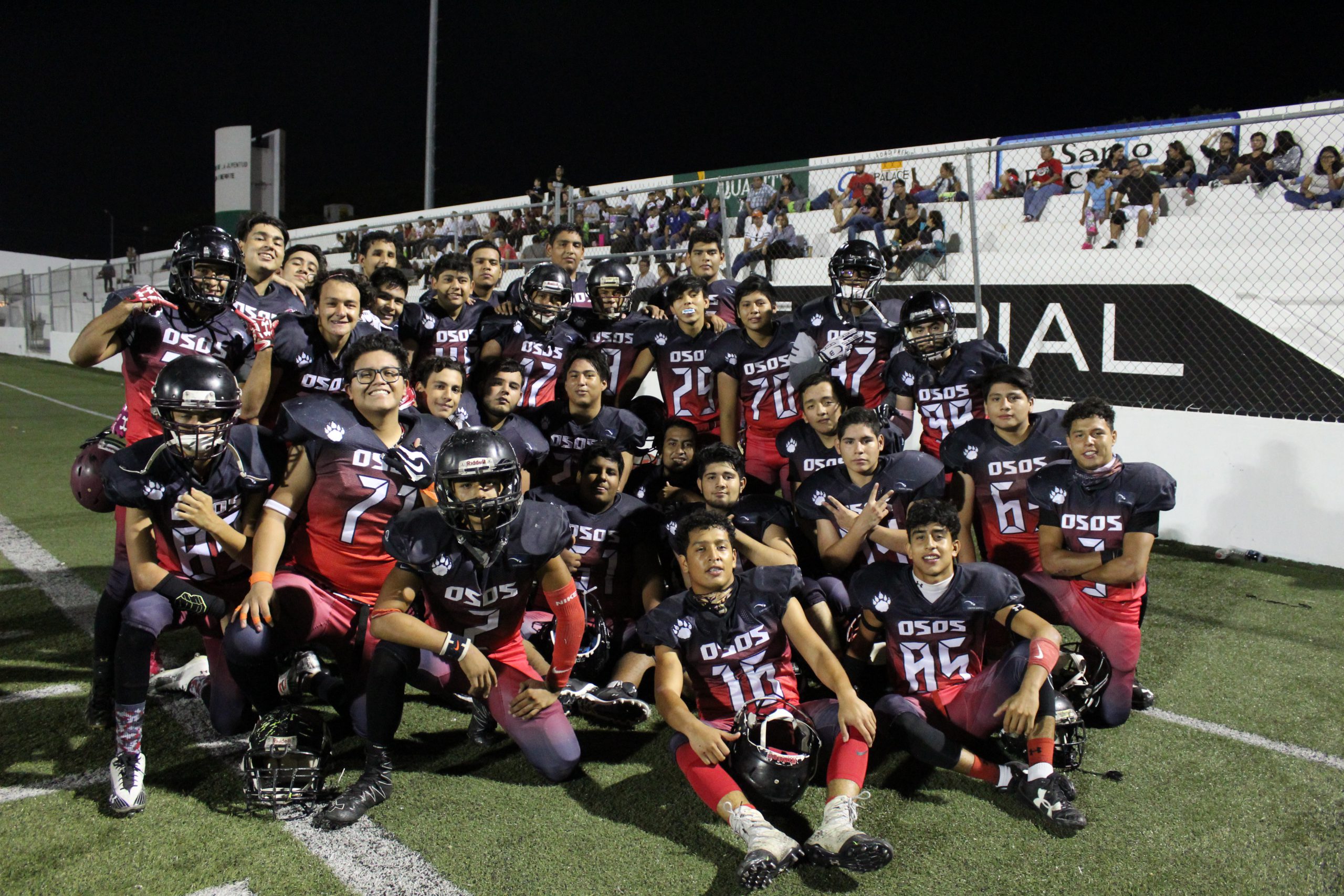 Osos de Chiapas & Lobos Plateados (Cat. Juvenil)