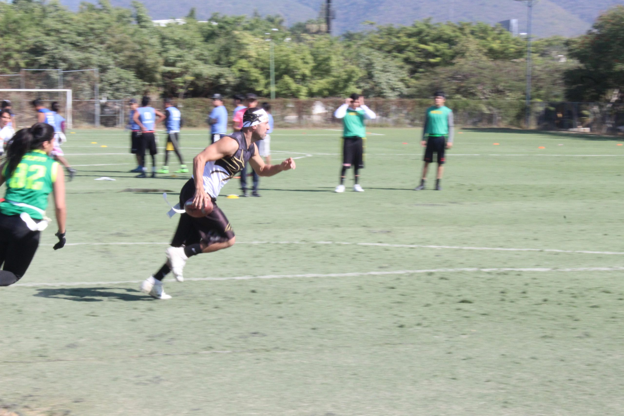 Dragones Negros & Ducks