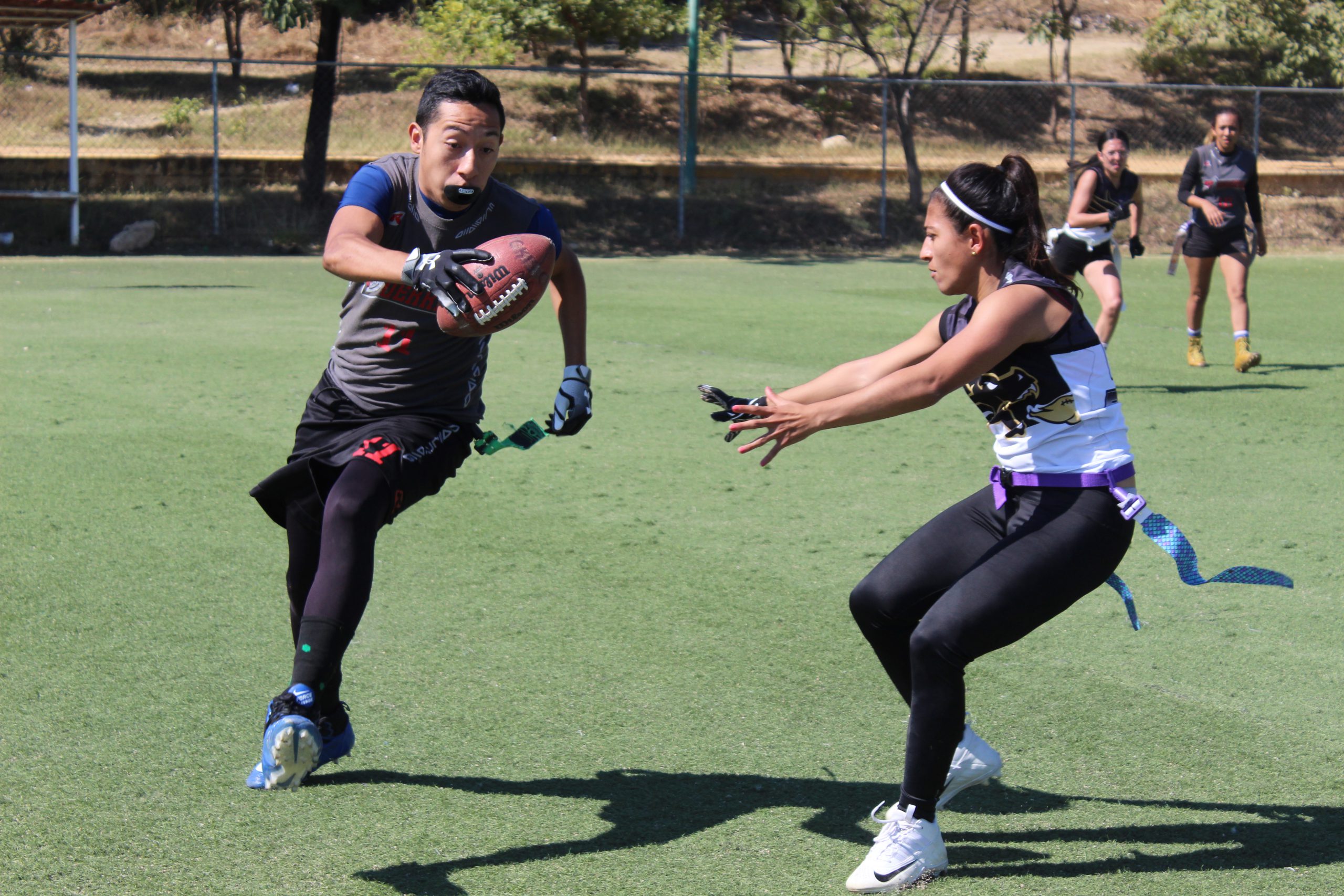 Guerreros Valhalla & Dragones Negros