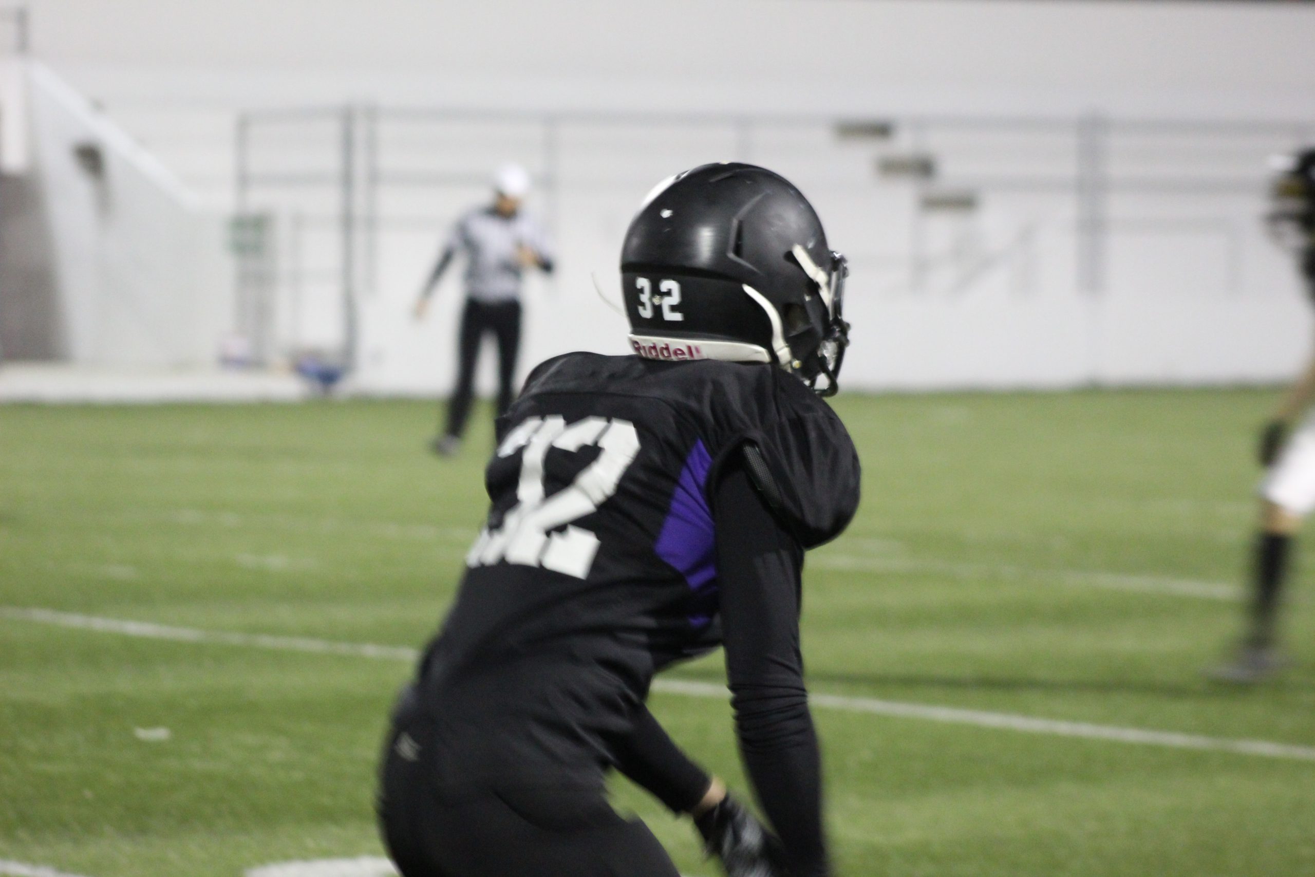 Lobo Plateados & Jaguares Negros