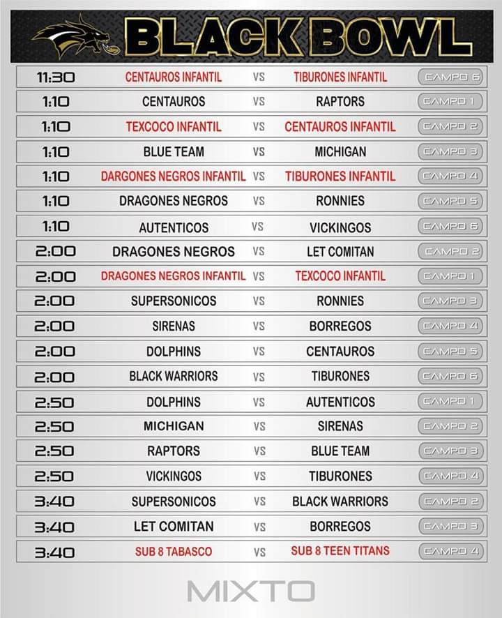 Black Bowl Cat Mixto 2019