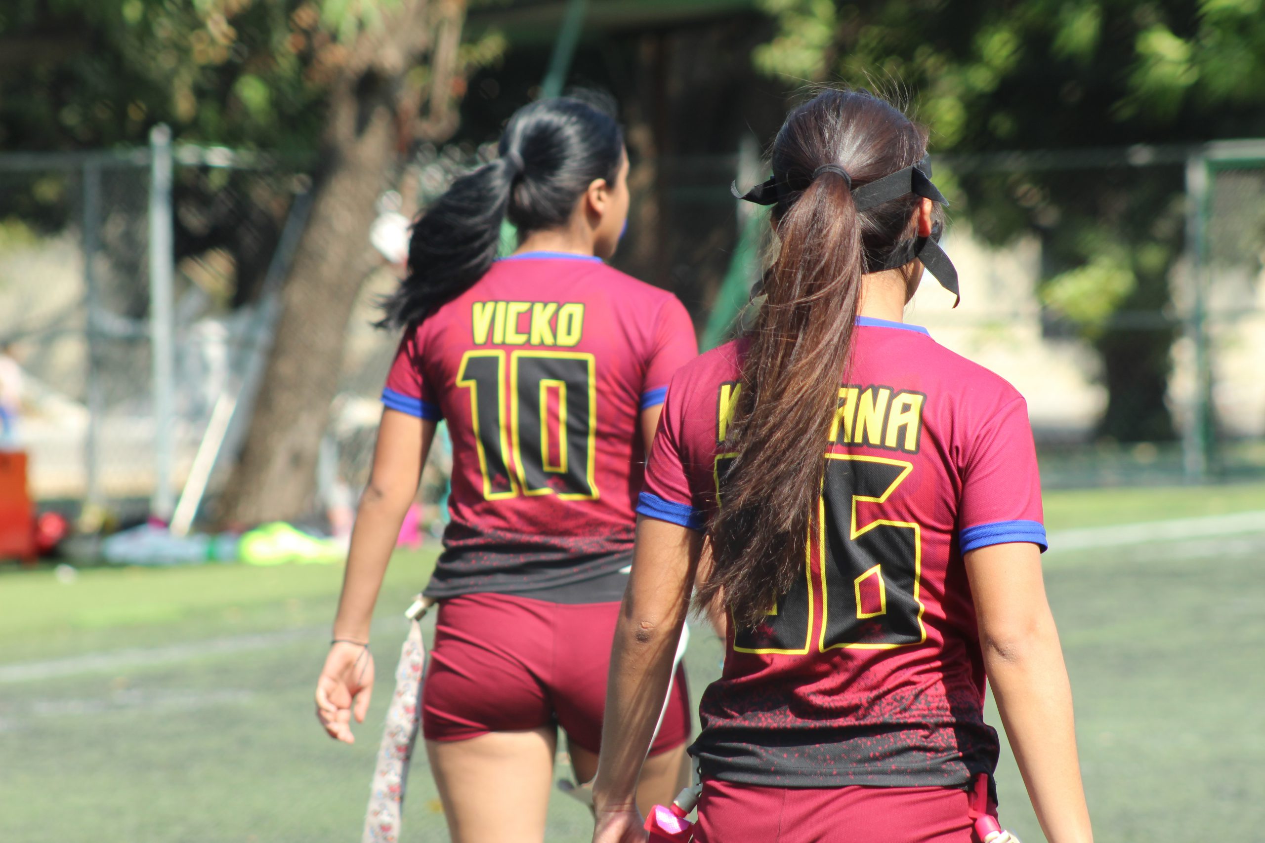 Aguilas Reales & Piratas Flags