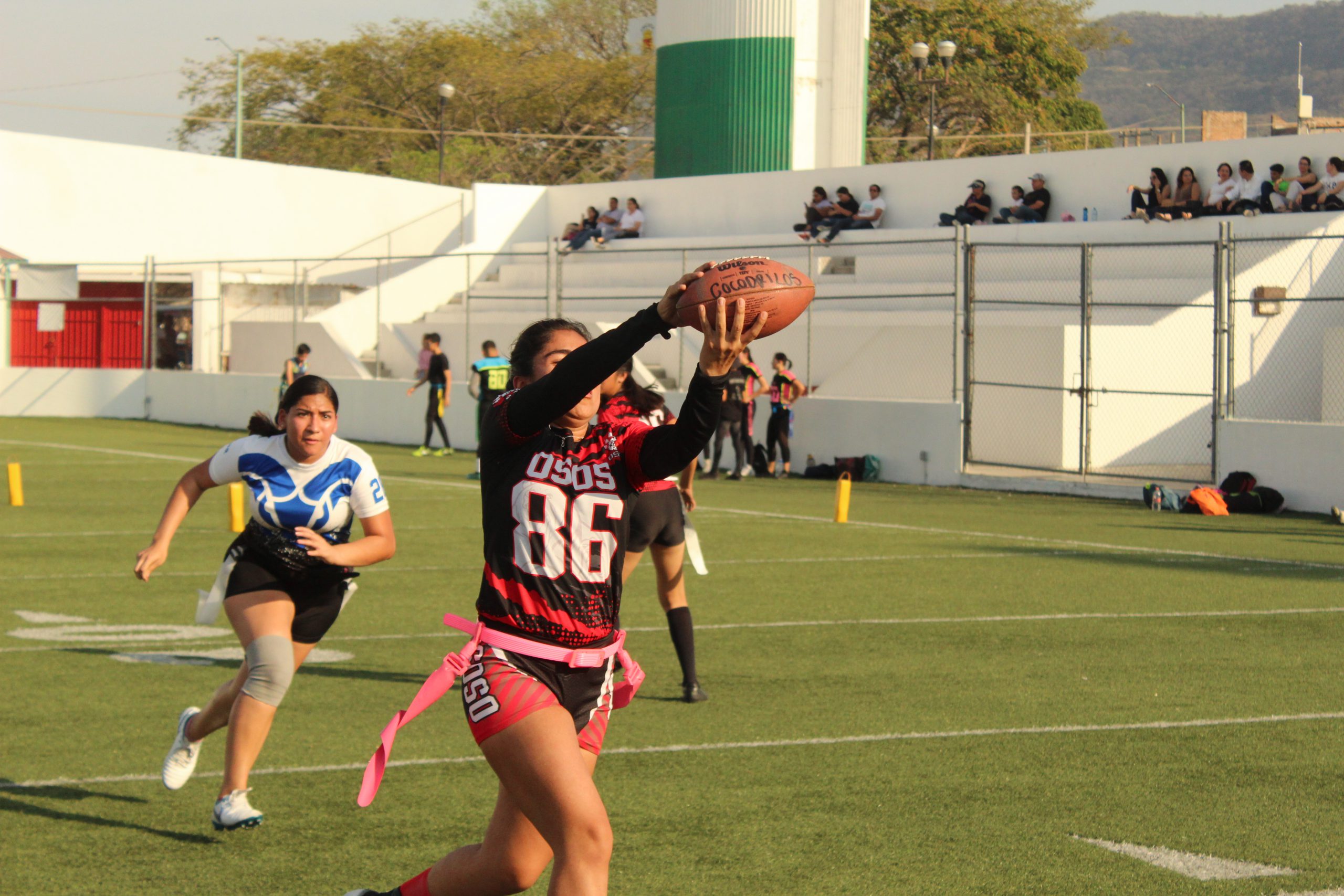 Osas & Borregas Cat. Silver