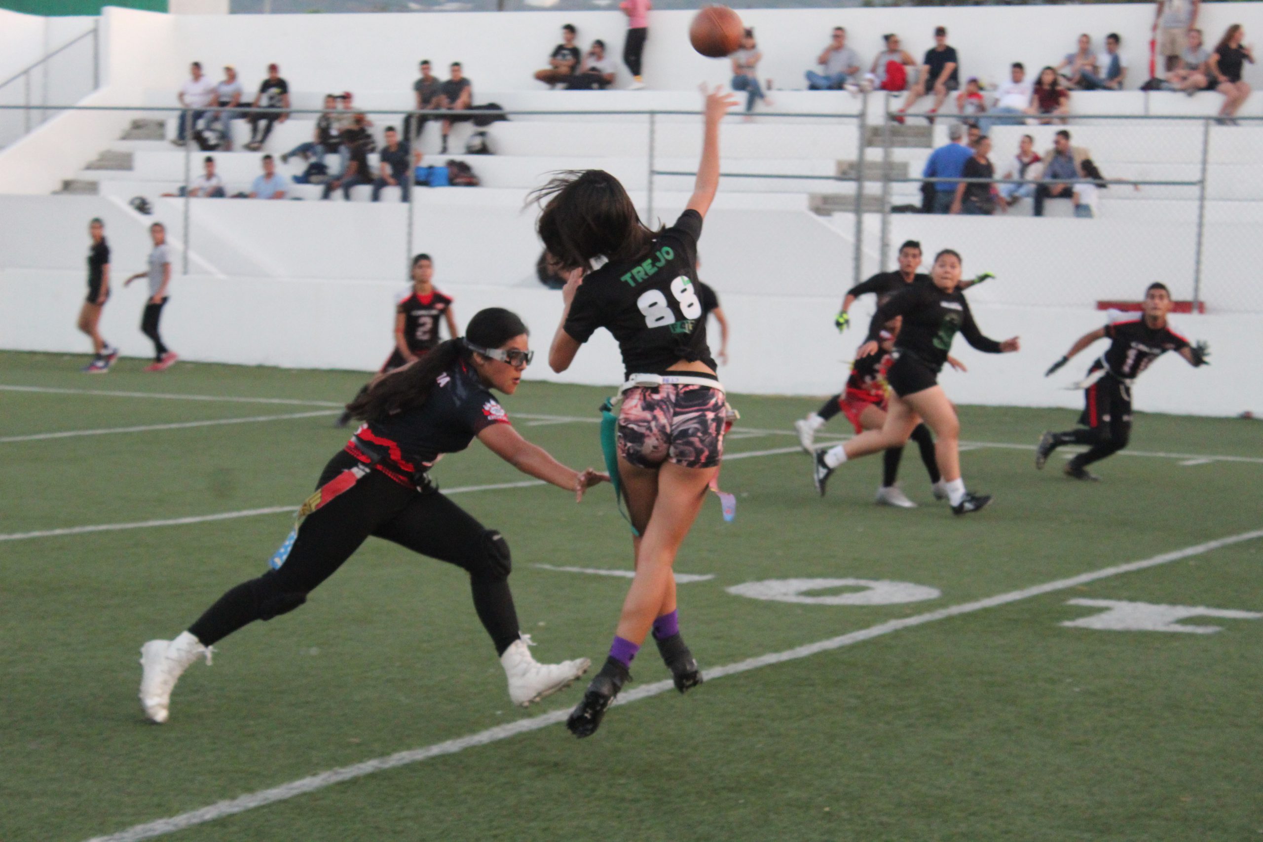 Osos & Jaguares Negros Cat.  Mixto Juvenil