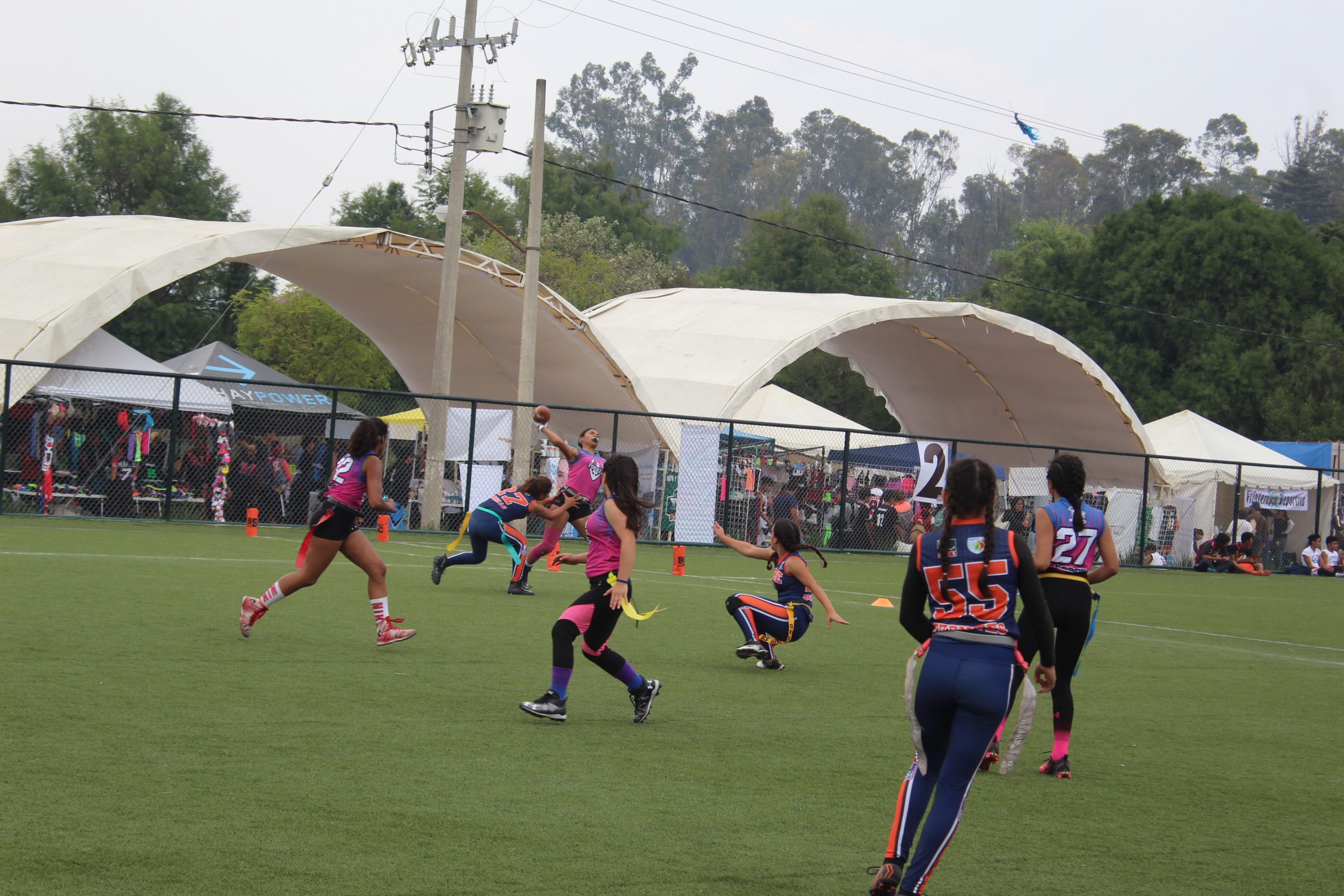 OFASE Azul & Fuerza T