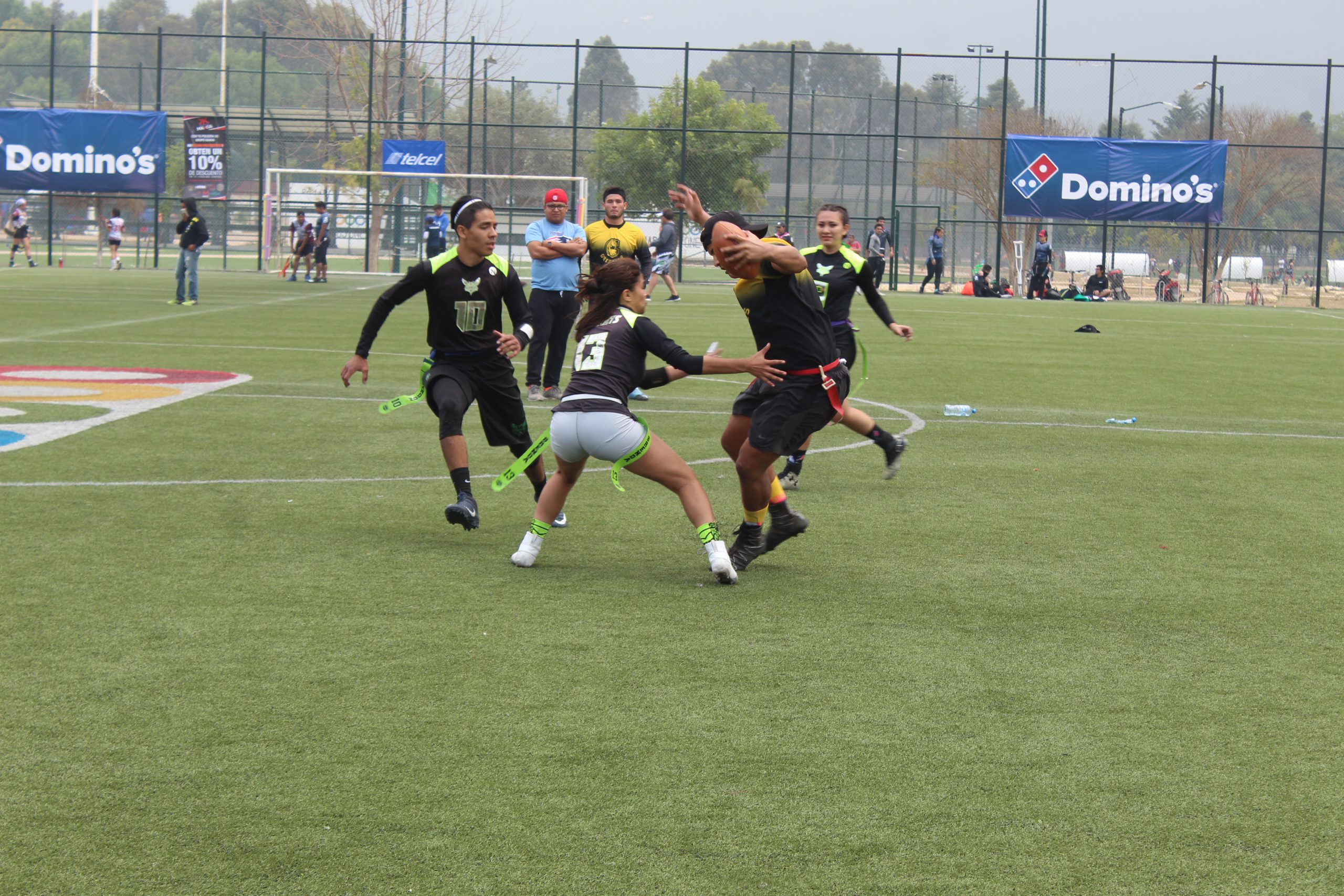 Grizzlies & Hornets CDMx Cat Mixto