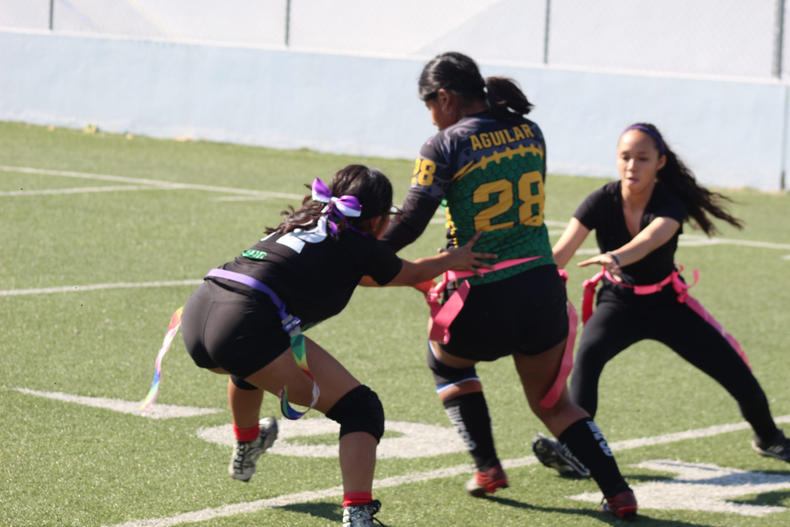 Semifinal Cocodrilos Team & Jaguares Negros