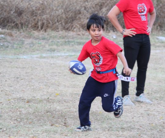 Bull Dogs & Zorros Cat U-08