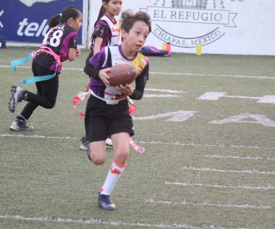 U-8 Dragones Negros & Cocodrilos