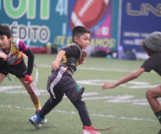 U-12 Cocodrilos & Zorros