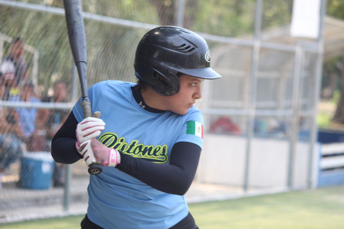 Avios & Pistones ALZ