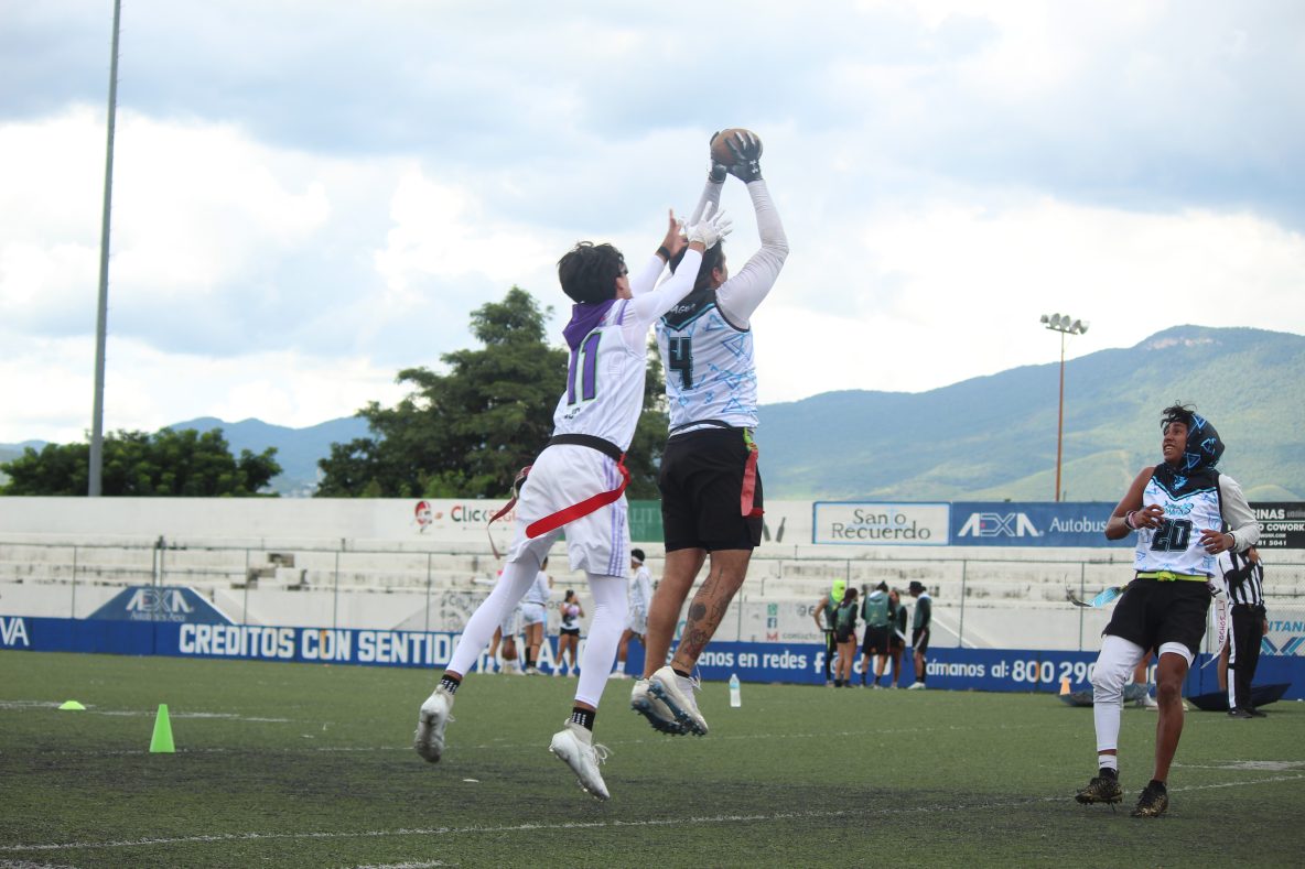 SuperSonicos & Husky