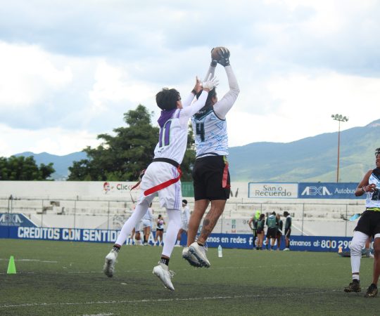 SuperSonicos & Husky